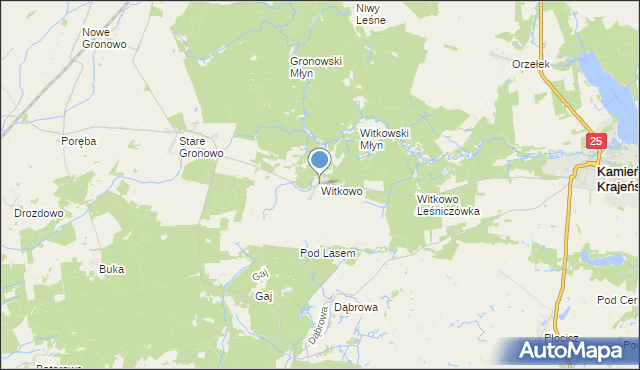 mapa Witkowo, Witkowo gmina Kamień Krajeński na mapie Targeo